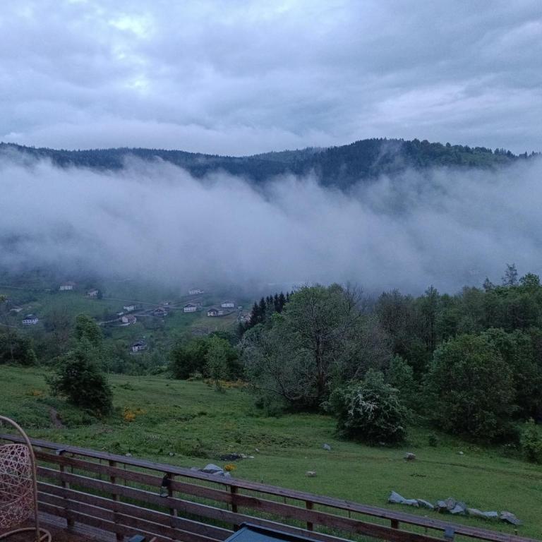 Les Chalets Bambi & Jacuzzi privatif - Appartement - 9