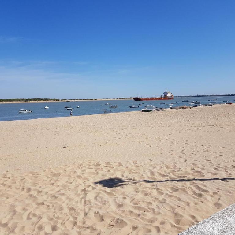 Calma Beach Bajo de Guía - Apartamento de 2 dormitorios - 44