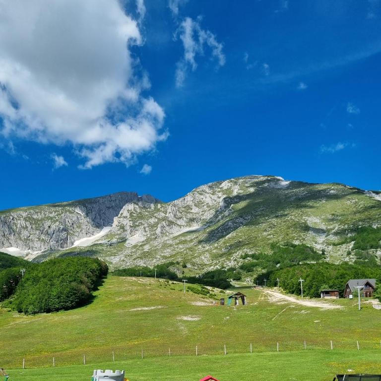Mountain house Savin Kuk - Kuća sa 4 Spavaće Sobe - 15