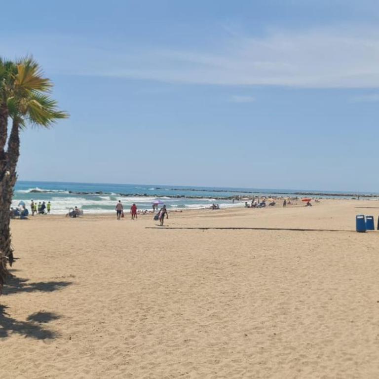 Jardin del Mar Playa Muchavista - El Campello - Alicante - Apartamento - 35