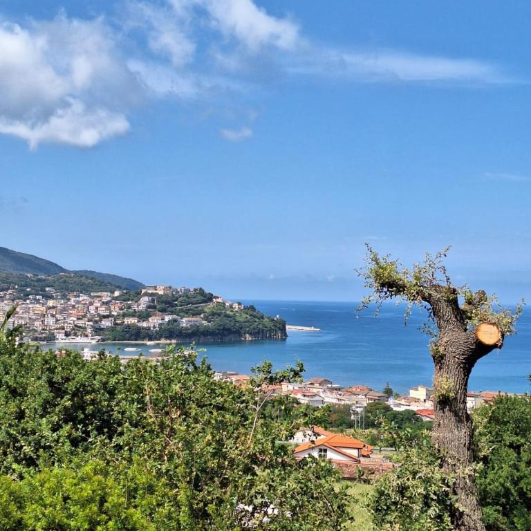Querce vista mare - Appartamento con 2 Camere da Letto - 1