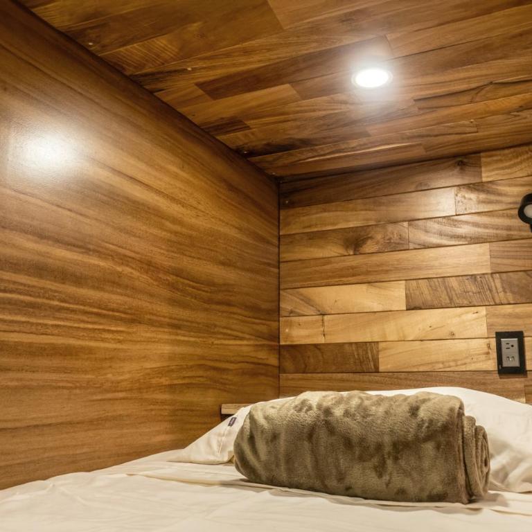 Homestal California Hostal en Tlaquepaque - Bed in 6-Bed Mixed Dormitory Room - 10