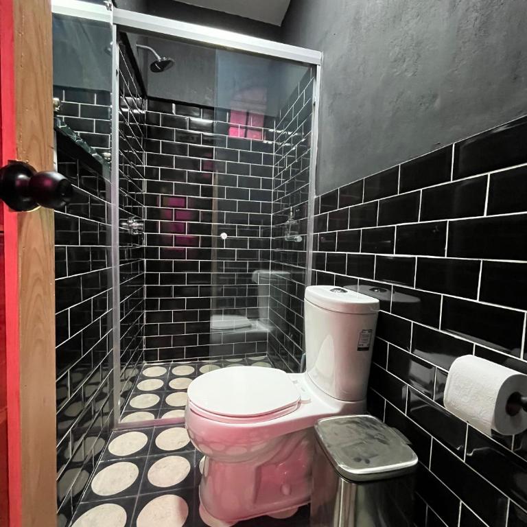 Homestal California Hostal en Tlaquepaque - Bed in 6-Bed Mixed Dormitory Room - 16