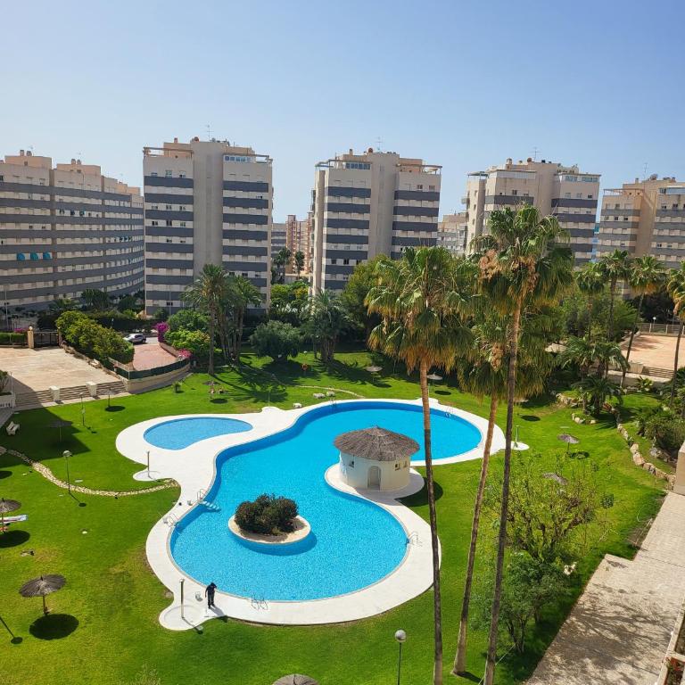 Jardin del Mar Playa Muchavista - El Campello - Alicante - Apartamento - 1
