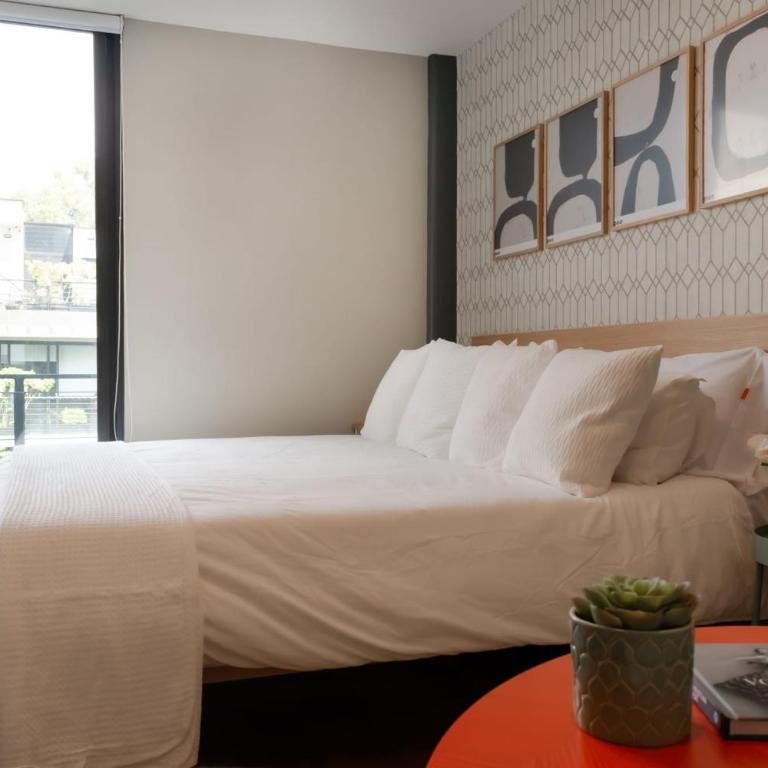 Espectacular terraza en la condesa - Apartamento - 19