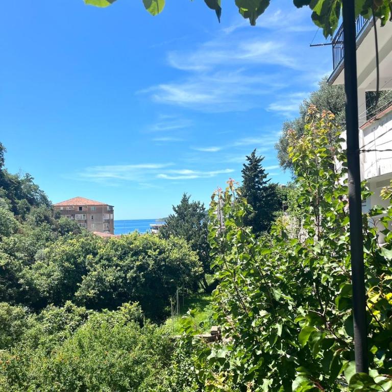 Apartments Harmonija - Apartman s 1 Spavaćom Sobom i Balkonom - 11