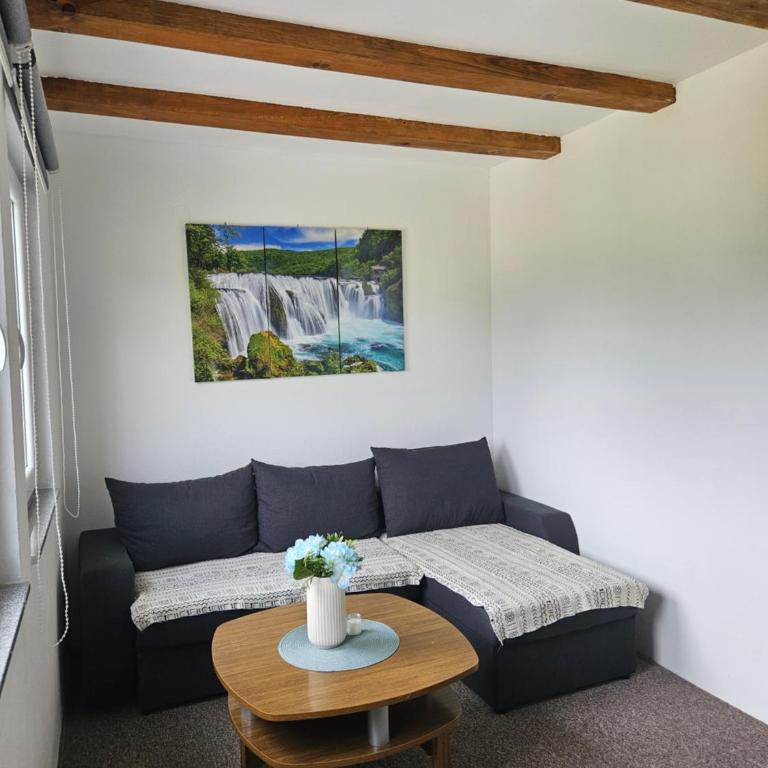 Seosko domaćinstvo Bajbut - Four-Bedroom House - 16
