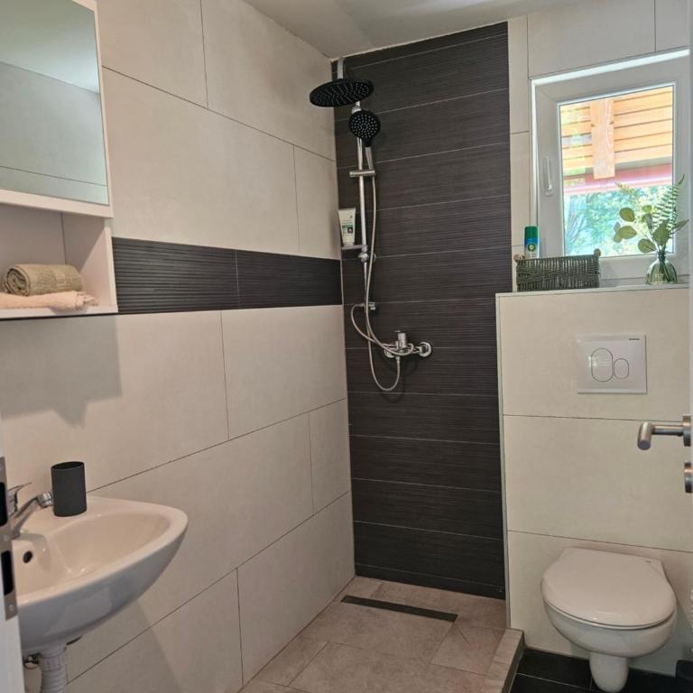 Seosko domaćinstvo Bajbut - Four-Bedroom House - 9