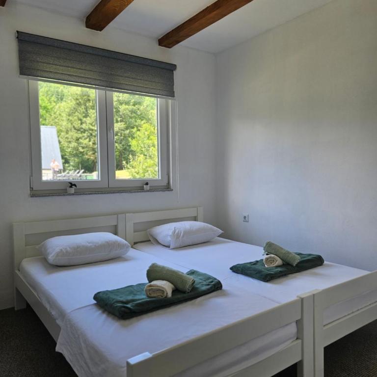 Seosko domaćinstvo Bajbut - Four-Bedroom House - 4