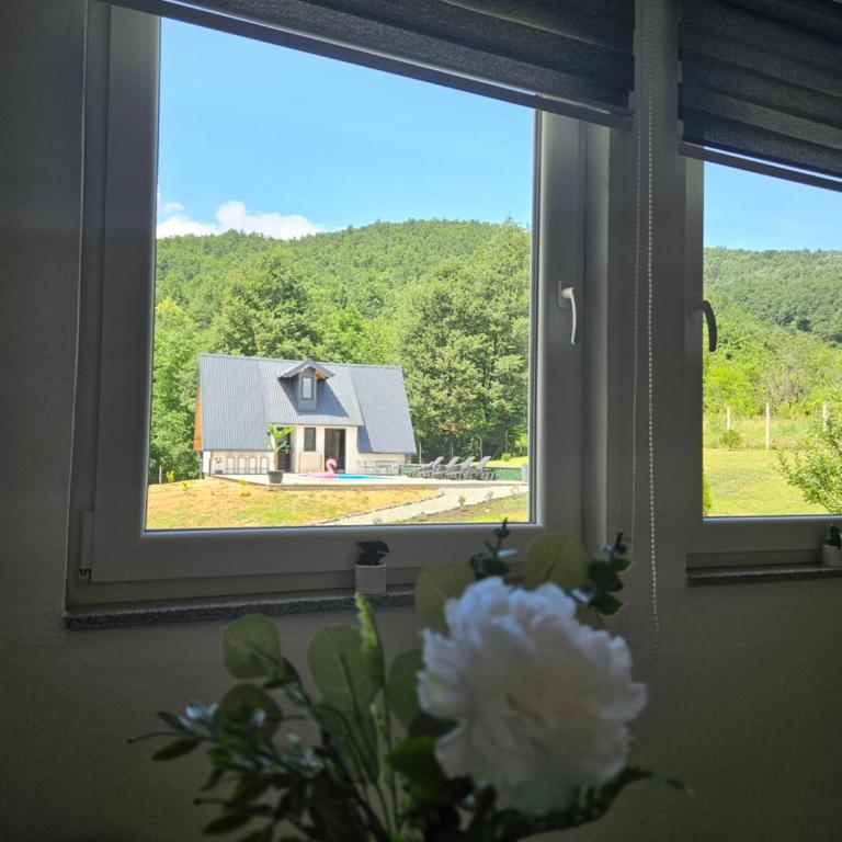 Seosko domaćinstvo Bajbut - Four-Bedroom House - 7