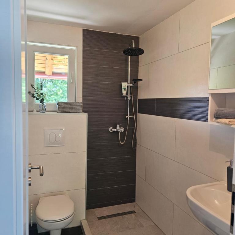 Seosko domaćinstvo Bajbut - Four-Bedroom House - 18