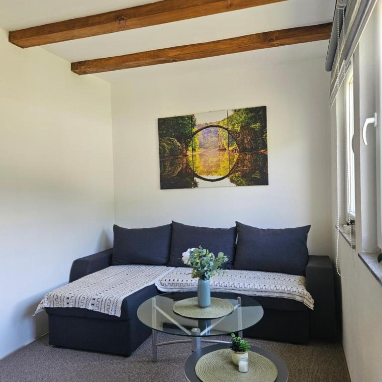 Seosko domaćinstvo Bajbut - Four-Bedroom House - 6
