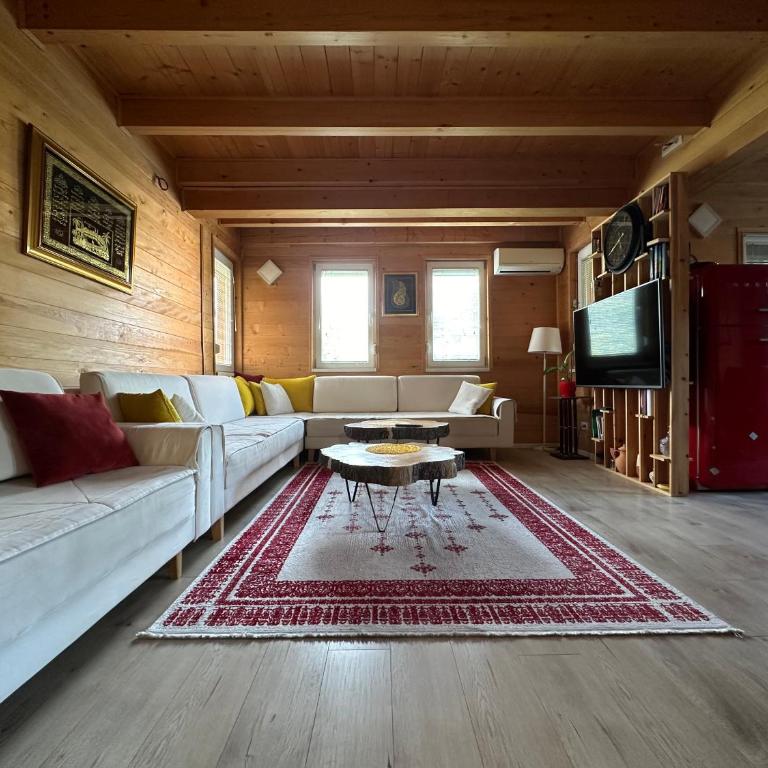 Wooden Villa Sarajevo - Vila - 10