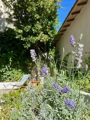 Bord de mer, magnifique appartement de 150m2 avec jardin - Apartment mit Gartenblick - 17