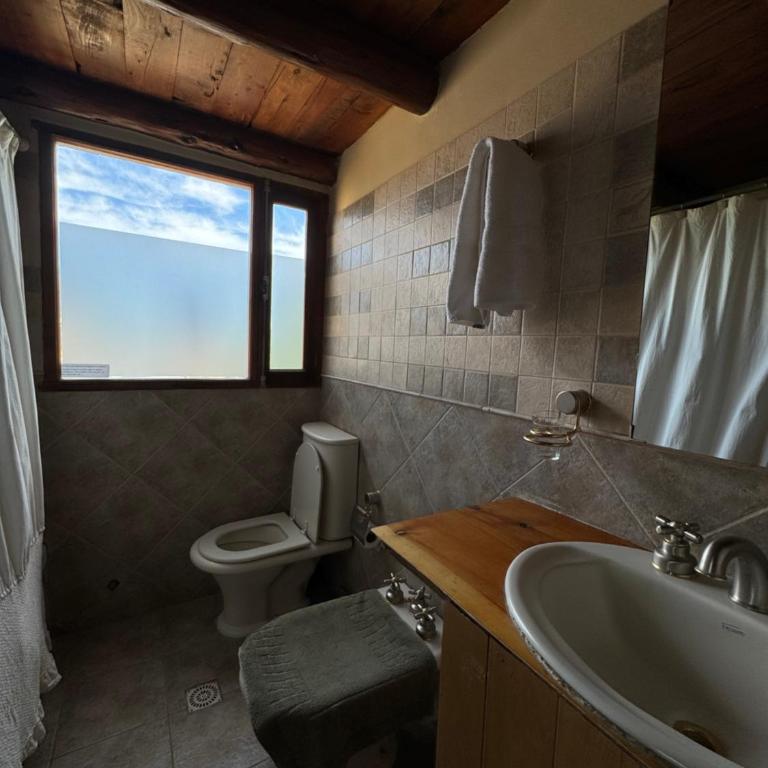 Cabañas Temistocles - Cabaña con vistas al jardín - 12