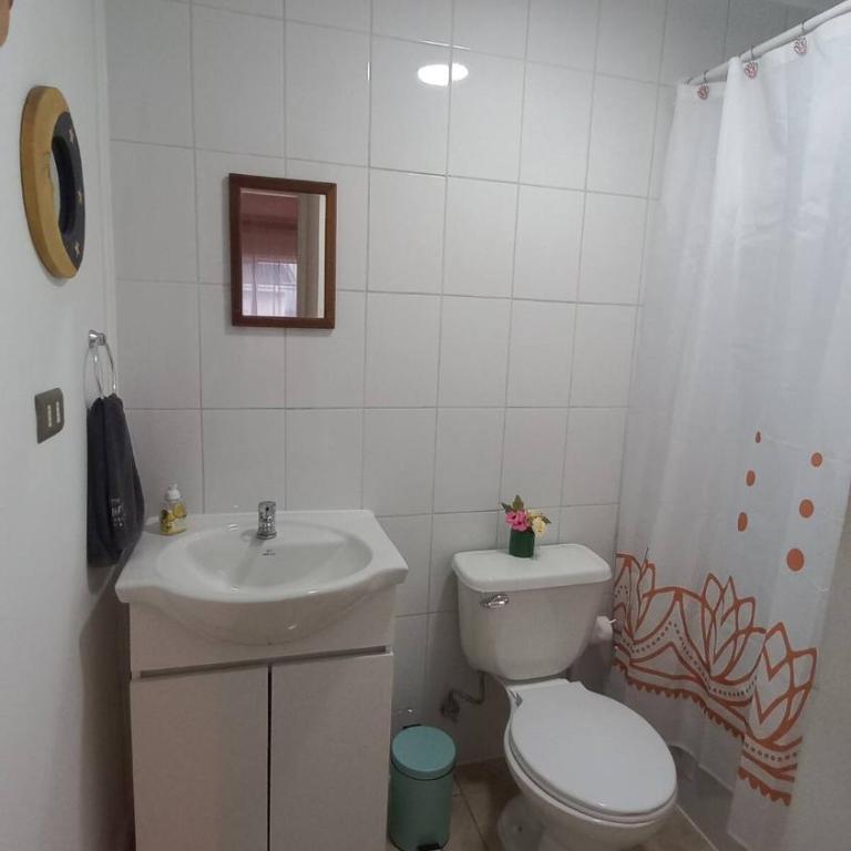 10 min del centro, 500 mt de la playa Pelluco, visita, disfruta y descansa - One-Bedroom Apartment - 9