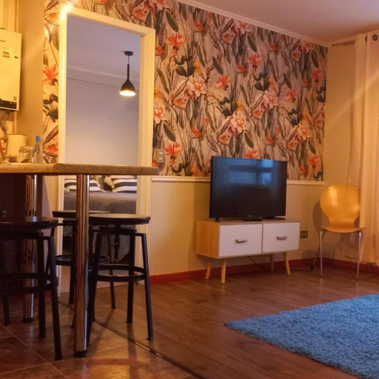 10 min del centro, 500 mt de la playa Pelluco, visita, disfruta y descansa - One-Bedroom Apartment - 1
