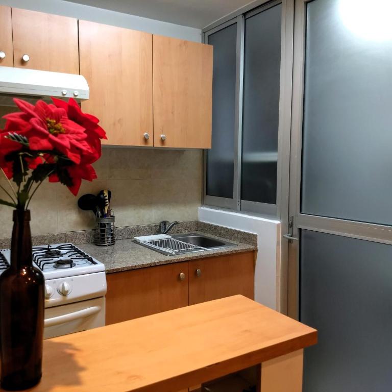 El Mirador Centro Histórico - Two-Bedroom Apartment with City View - 10