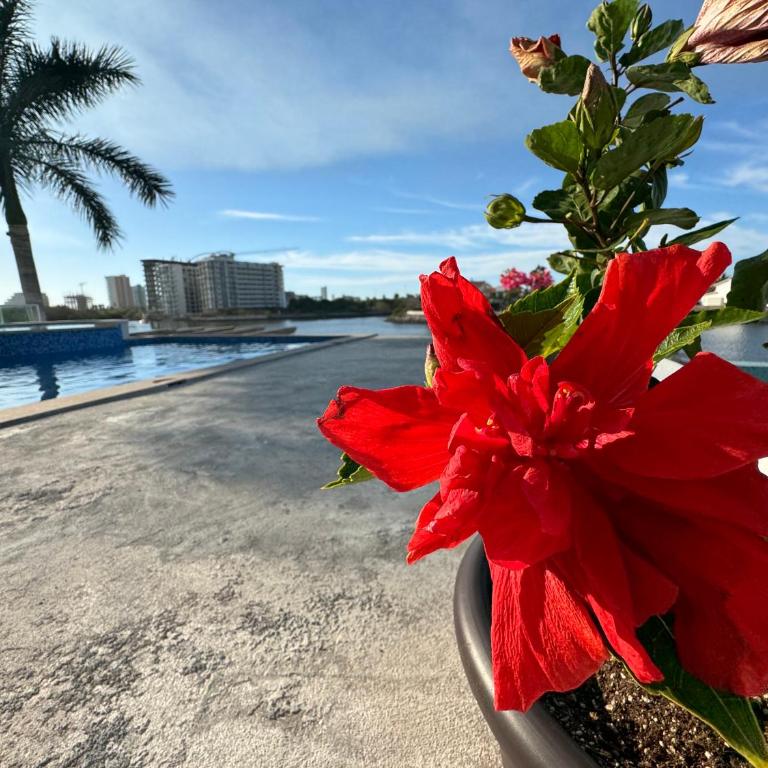 Casa Isla Marina Vista al Mar 20 Personas - Four-Bedroom House - 9