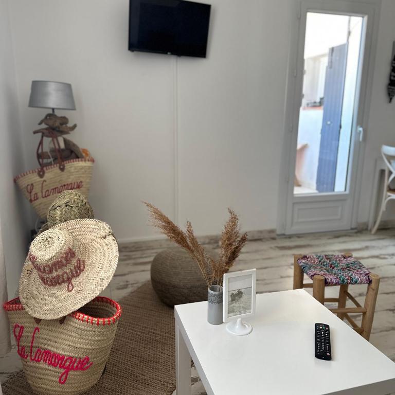 Appartement cosy Le Bohème, à 300m des plages et animaux acceptés 2eme étage - Apartment mit 1 Schlafzimmer - 14