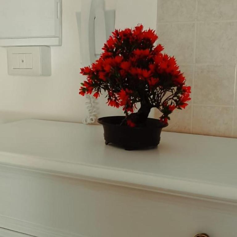 Naxos Sweet Dreams Apartment - One-Bedroom Apartment - 16