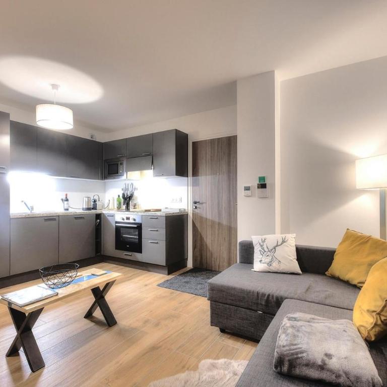 Apartment Gallery Mont Blanc Saint-Gervais-Les-Bains - Apartment mit 1 Schlafzimmer - 7
