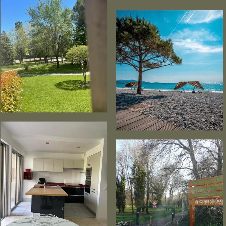 Parc Baie des Anges - One-Bedroom Apartment - 45