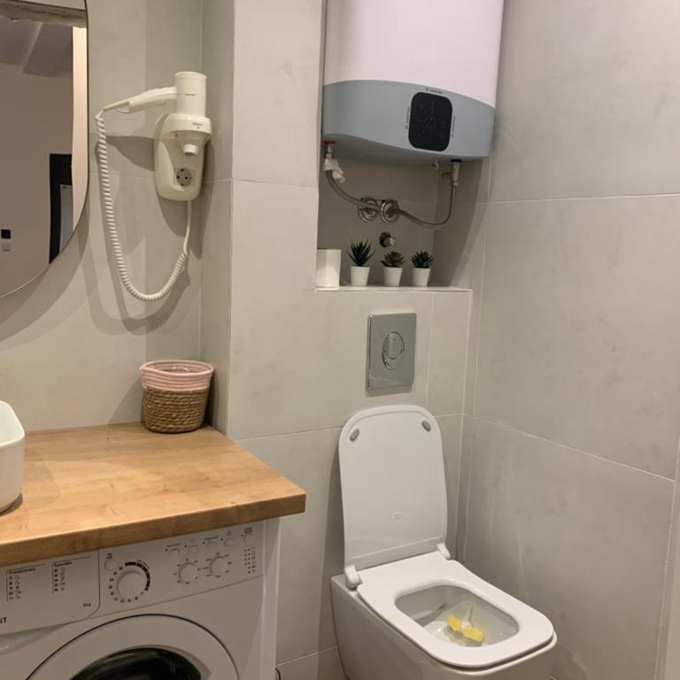 ROSE Downtown - Apartman s 1 Spavaćom Sobom i Vrtom - 6