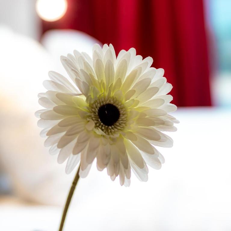 Il Panoramico Rooms - Double Room with Balcony - 38