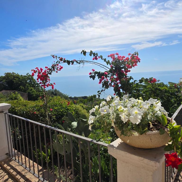Perla Marina -Vasto- 300 mt dal mare - One-Bedroom Apartment - 81