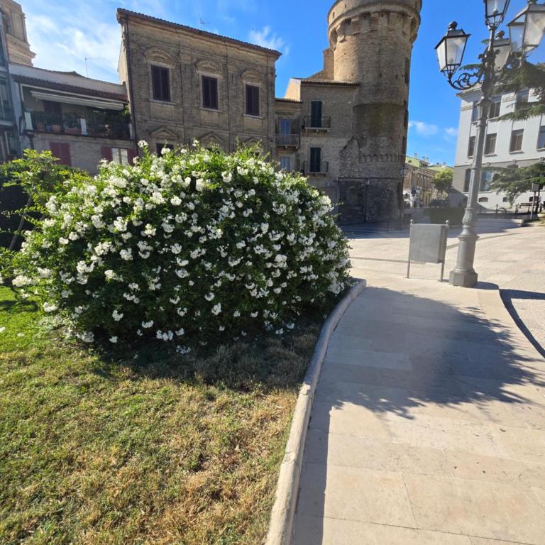 Perla Marina -Vasto- 300 mt dal mare - One-Bedroom Apartment - 78