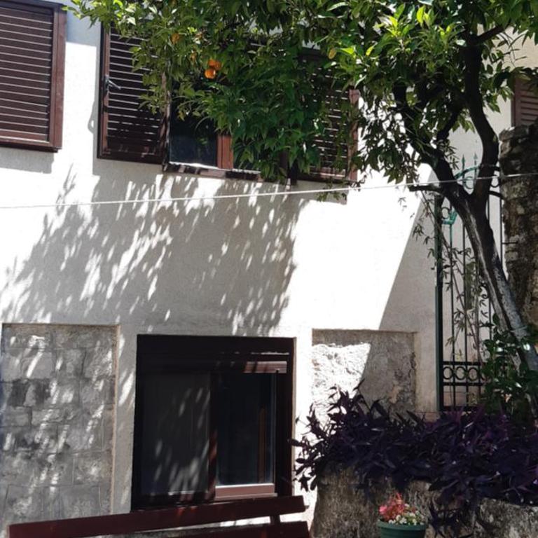 APARTMAN Biser - Apartman sa 1 Spavaćom Sobom - 1
