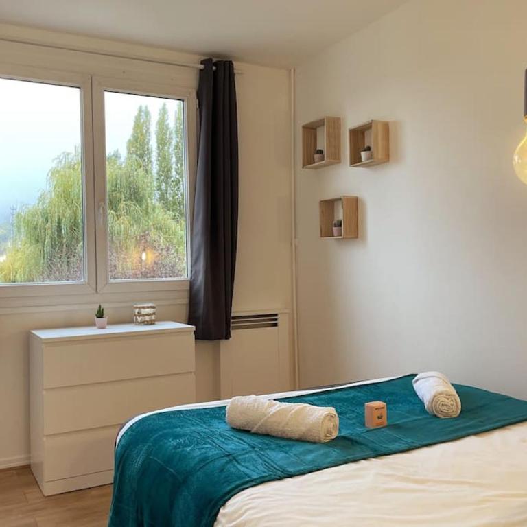 Rouen Port de plaisance et MIN - Appart lumineux - Apartment mit 1 Schlafzimmer - 11