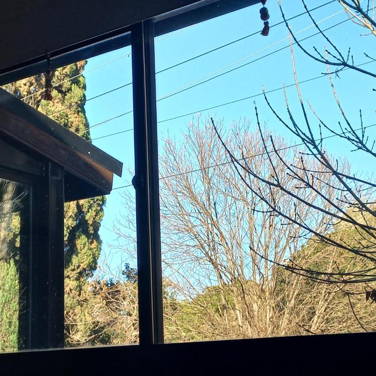 Cozy and Luminous New Apartment in Buenos Aires - One-Bedroom Apartment - 34