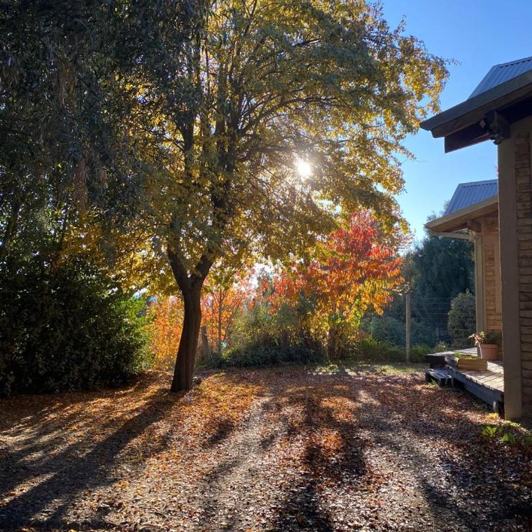 Casa de Montaña La Cecilia - Casa de 5 dormitorios - 46