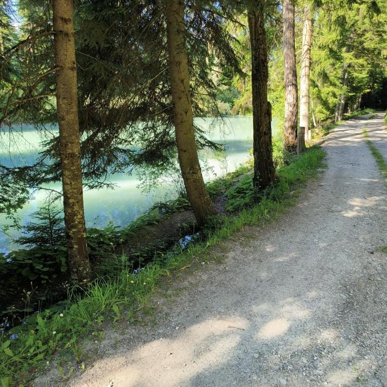 Ô Bercail Gîte de basse montagne 7' de vercorin - Chalet - 34