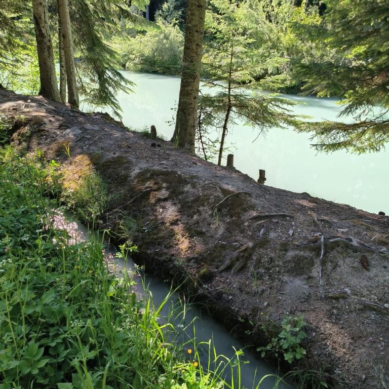 Ô Bercail Gîte de basse montagne 7' de vercorin - Chalet - 35