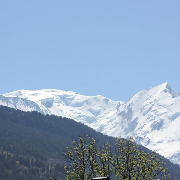 Chalet des Morets - Appartement 1 Chambre - 33