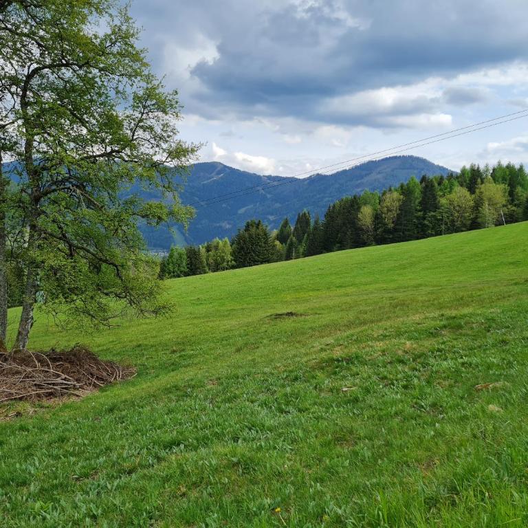 Der Kristall by Globalimmoservice - Superior Apartment - 21