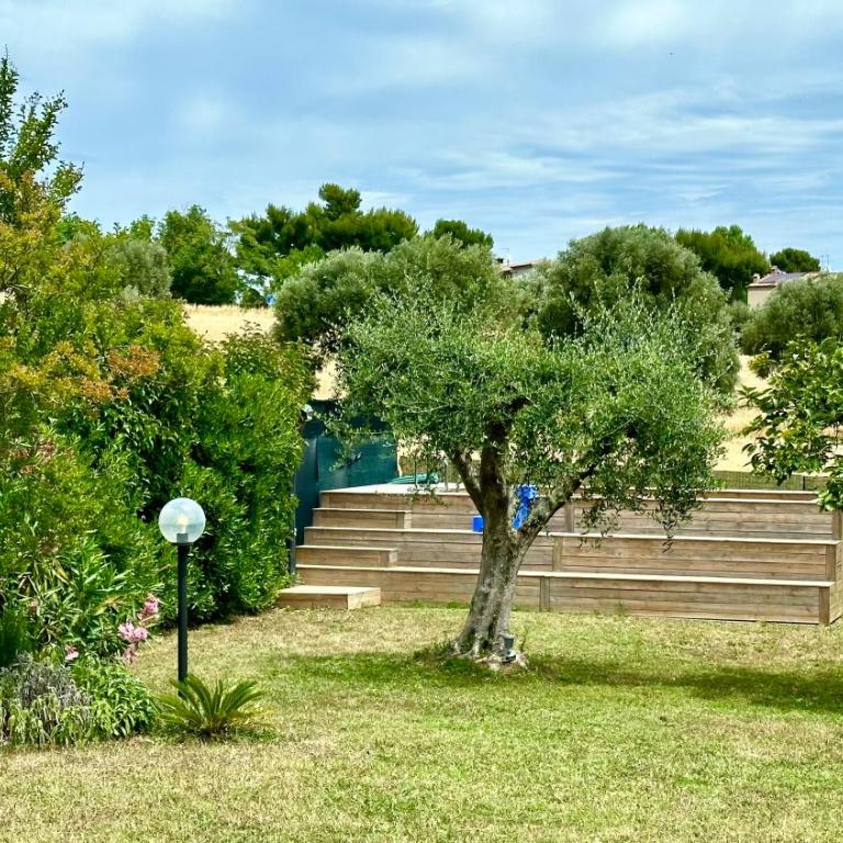 N084 - Numana, villa quadrilocale con meraviglioso giardino - Appartamento - 23