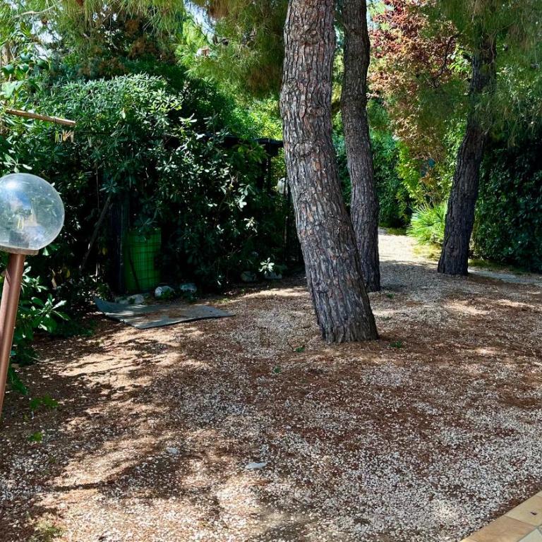 N084 - Numana, villa quadrilocale con meraviglioso giardino - Appartamento - 24