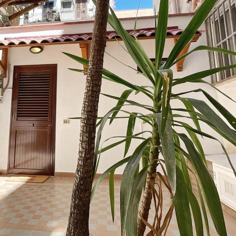 A Casa Tua Palermo - Appartamento con 1 Camera da Letto - 9