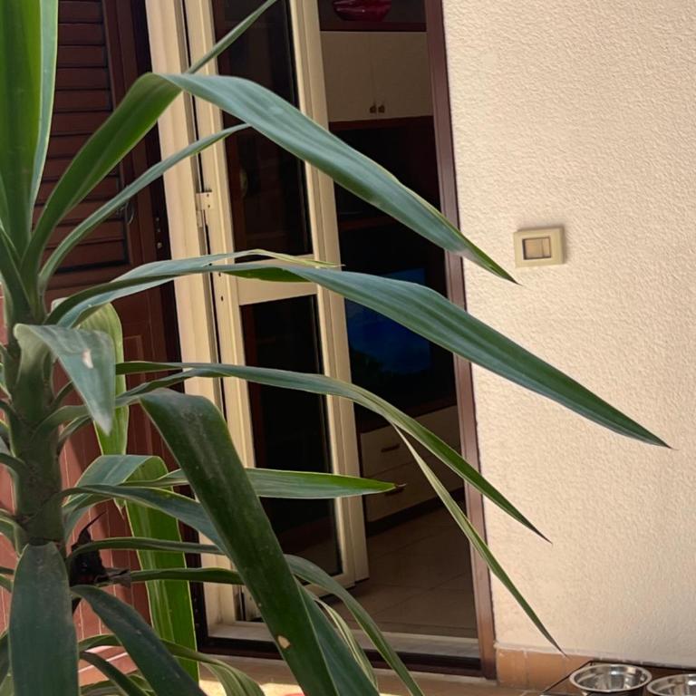 A Casa Tua Palermo - Appartamento con 1 Camera da Letto - 13