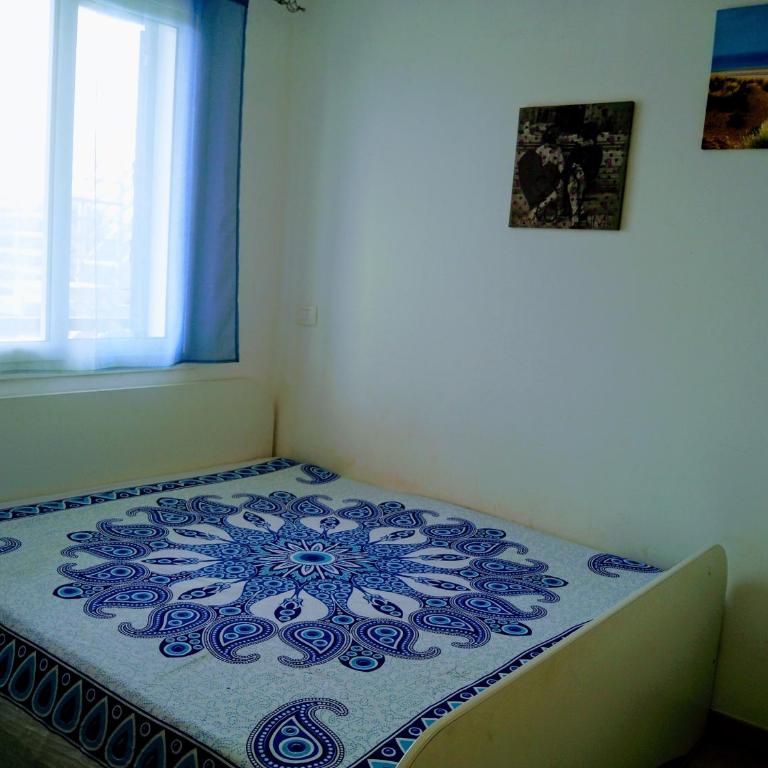 Il delfino - Vacation Home - 14
