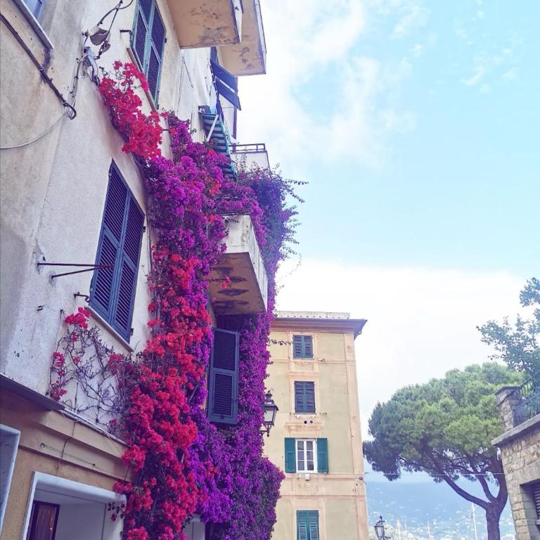 Il porto di Santa - a un passo da Portofino - Appartamento - 17