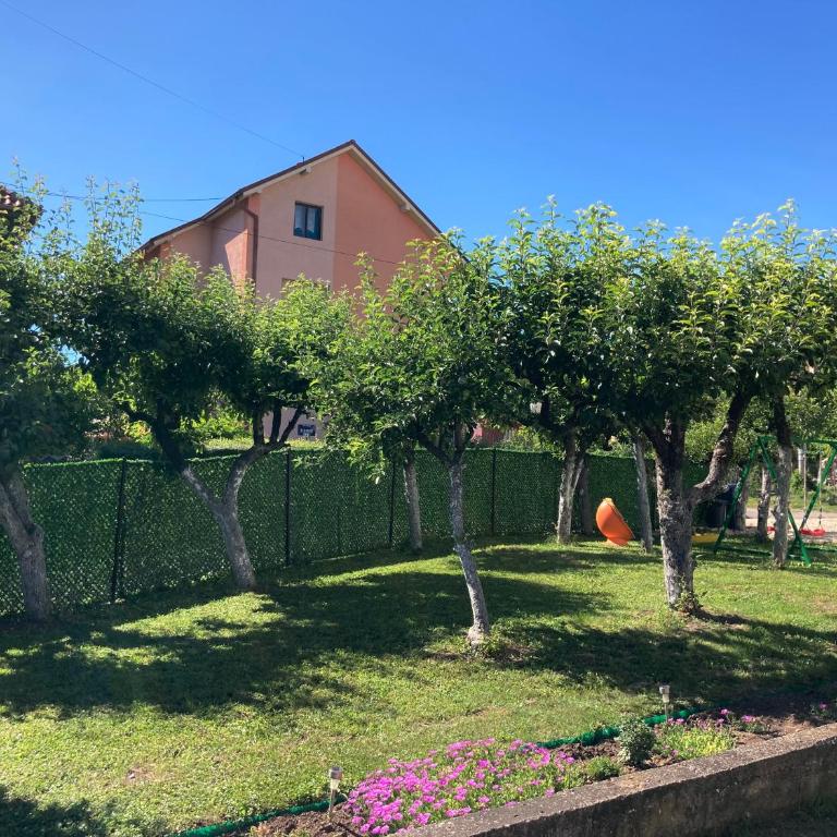 Apartmani Vlasina Sokobanja - One-Bedroom Apartment - 16