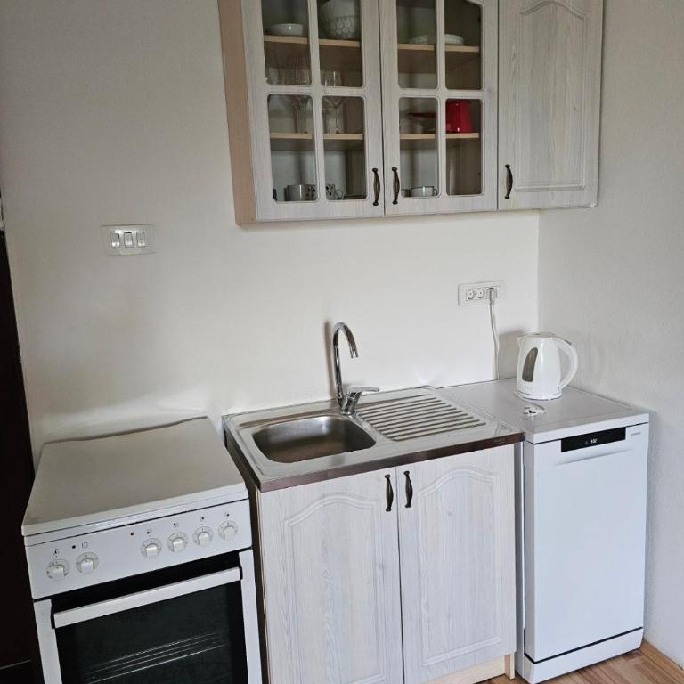 Large Three-Bedroom Apartment 2 Min from Airport - Apartman sa 3 Spavaće Sobe - 6