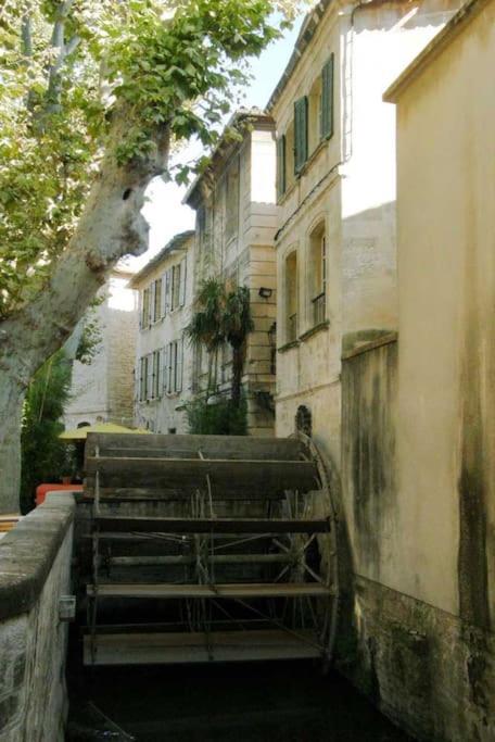 Cocon Avignonnais au Cœur du Centre Historique - Appartamento con 1 Camera da Letto - 14