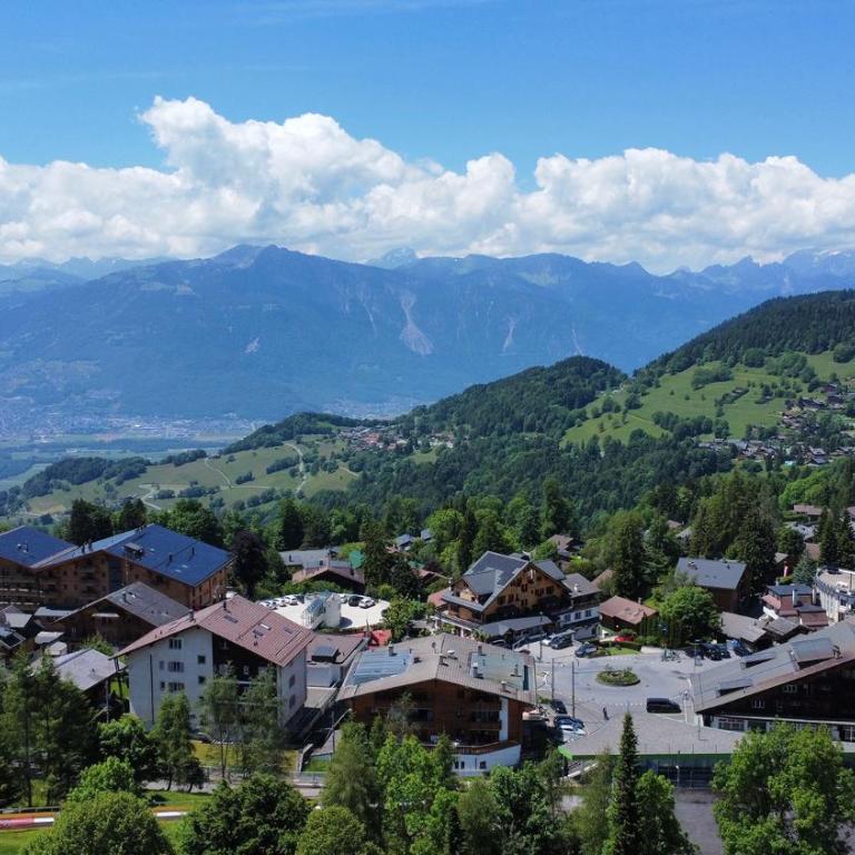 Moo-ntain Suite by Villars Luxury - Apartment mit 1 Schlafzimmer - 10