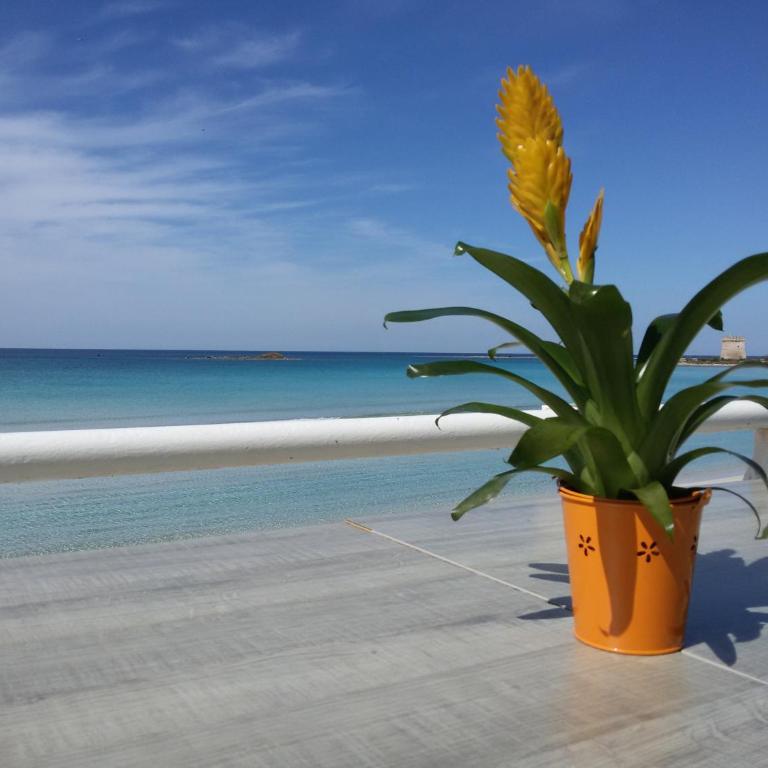Porto Cesareo Garden Villas - Two-Bedroom House - 34